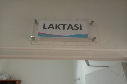 Penyediaan Ruang Laktasi di UNDIP sebagai Upaya Mendukung Keseimbangan Peran Perempuan Karir